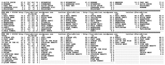 driverCard.23.08.2014.ANKARA-1