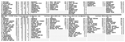 driverCard.24.08.2014.ISTANBUL-1