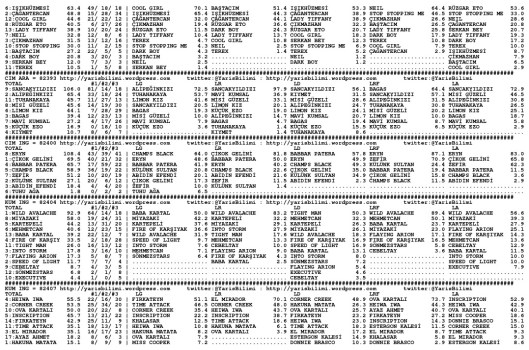 driverCard.19.09.2014.BURSA-1
