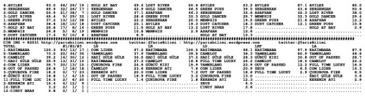 driverCard.27.09.2014.ANKARA-1