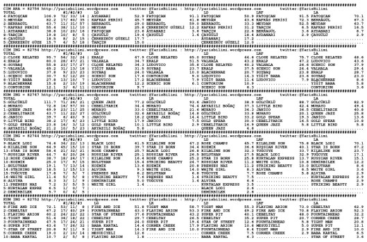 driverCard.10.10.2014.BURSA-0