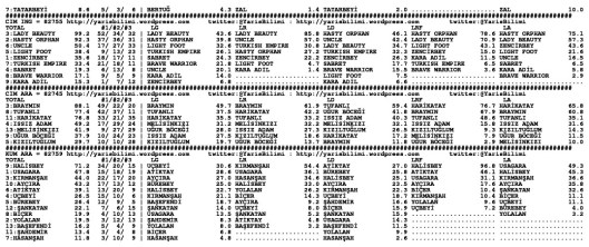 driverCard.10.10.2014.ISTANBUL-1