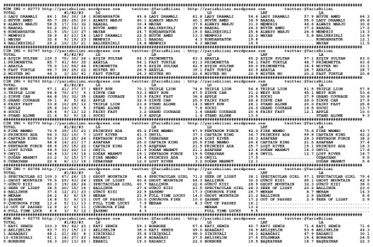driverCard.11.10.2014.ANKARA-0