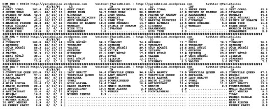 driverCard.25.10.2014.ISTANBUL-1