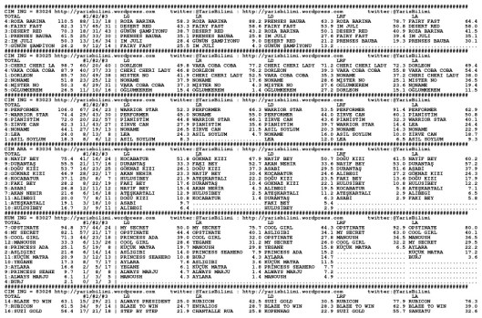 driverCard.26.10.2014.ANKARA-0