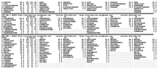 driverCard.24.06.2015.ISTANBUL-1