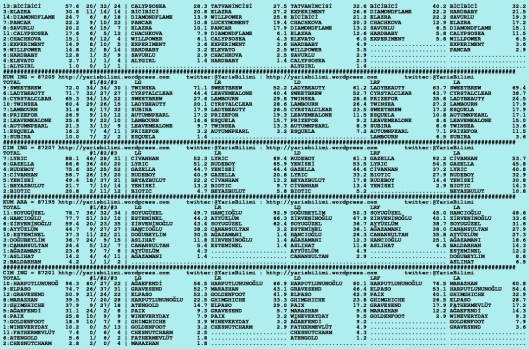 driverCard.29.07.2015.ISTANBUL-1
