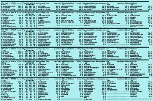 driverCard.05.09.2015.ISTANBUL-0